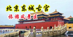 黑丝母狗操逼喷水中国北京-东城古宫旅游风景区